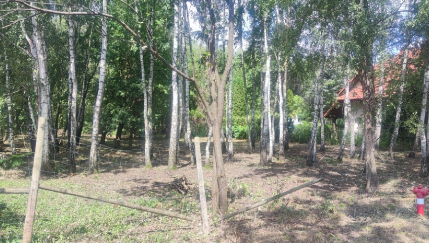 Działka Sprzedaż Borzęcin Duży Spacerowa